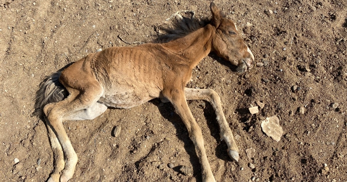 Ресейлік атақты адамдардың жалаңаш суреттері
