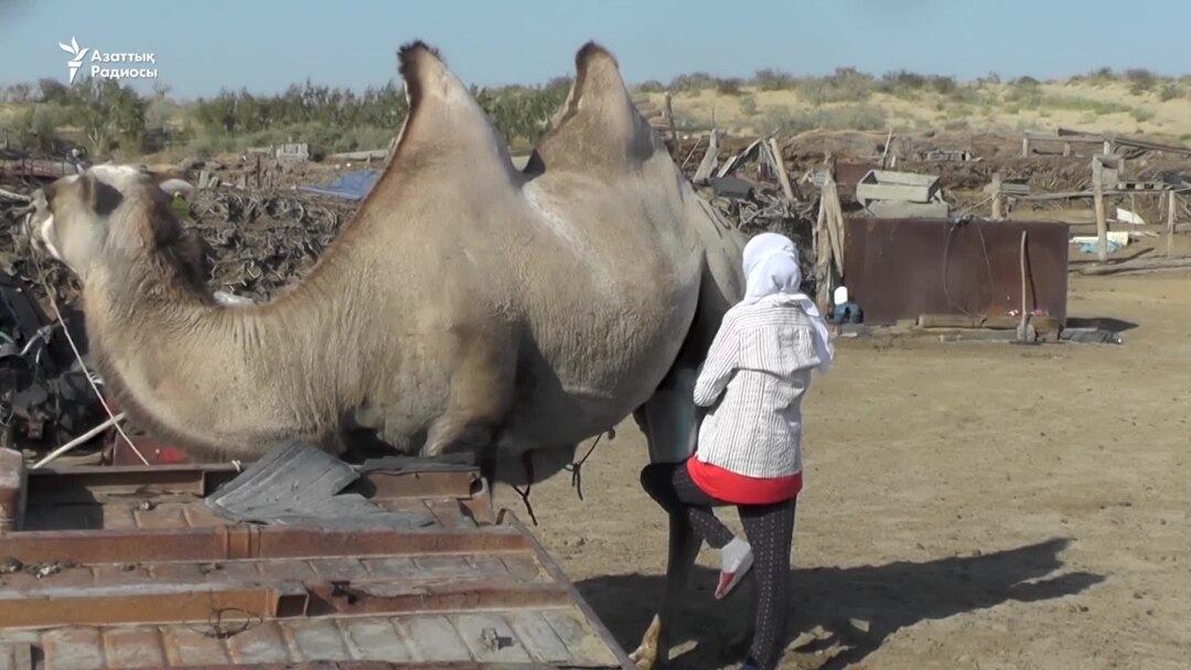 Симферополь бос уақыттағы секс