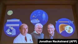 A három díjazott (balról jobbra): Harvey Alter, Briton Michael Houghton és Charles Rice.