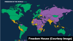 Карта Freedom House за 2024 год: свободные страны окрашены зелёным, частично свободные – жёлтым, несвободные – фиолетовым