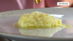 Kad se crnogorska cicvara 'okrene'
