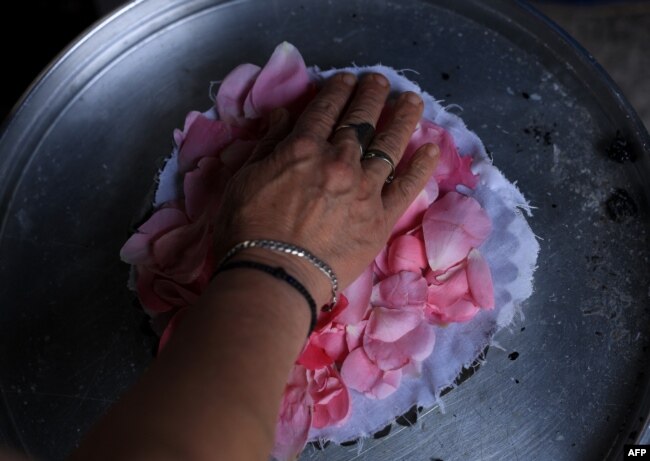 Trëndafili – kryefjala e qytetit.