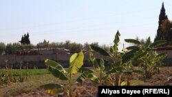 آرشیف، عکس جنبه تزئینی دارد.