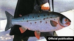 U.Econun məqalələr toplusu - "How to Travel with a Salmon" kitabının üzü