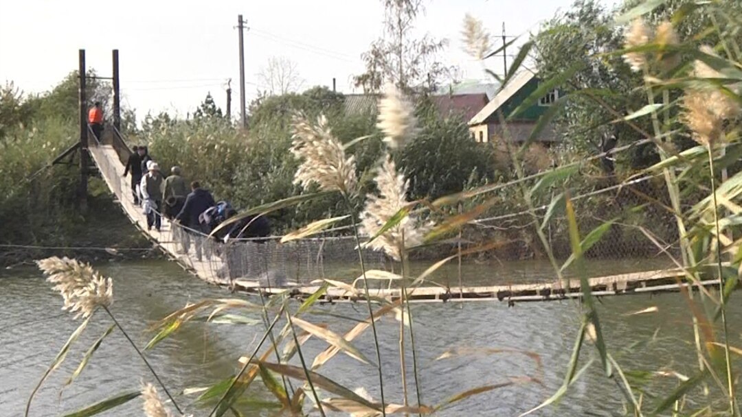 Жоғарыдан келген ит стилі