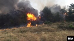 Пожари околу Кочани. Поради силниот ветер и сувата вегетација огнот брзо се шири. 