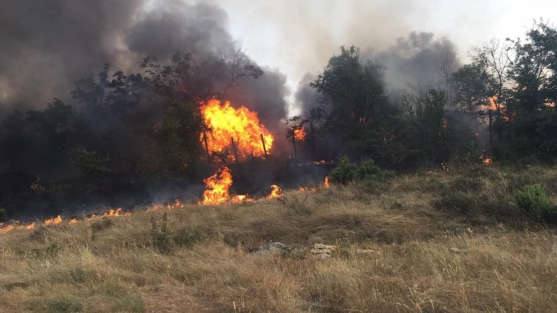 Пожари на десетина локации низ Македонија, во гаснењето вклучена и Армијата 