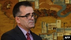 Ambasadorul Mihai Gribincea