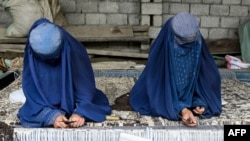 عکس له ارشیفه اخیستل شوی دی 