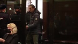 Прокуроры потребовали приговорить Алексея Навального к штрафу