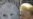 Tymoshenko Trial Adjourned