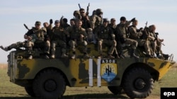 Бойцы батальона "Азов" на учениях