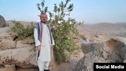 حبیب الله نجفی زاده، فعال محیط زیست