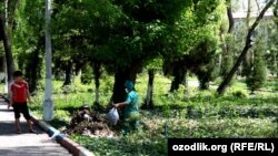 Ўзбекистонлик шифокору ўқиутвчилар дам олиш кунлари ободонлаштириш, дея аталадиган тадбирларга ҳам чиқишга мажбур.
