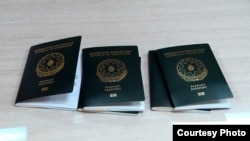 Xarici biometrik pasportlar