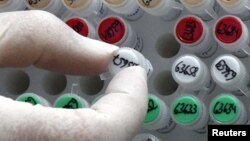 ტრანსნაციონალური დანაშაულის გასახსნელად გამოძიება ჩატარდა ბათუმშიც.