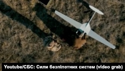 Иллюстративное фото