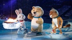 2014: Спорт менен саясат