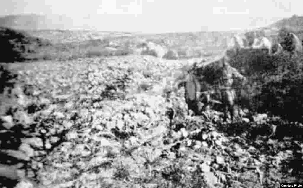 Sculls of alive-burnt refugees in Bitlis