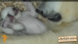 The Lighter Side - January 17