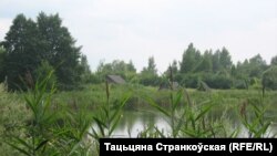 Толькі мая Беларусь. Браслаўскія азёры, 2014 год. Аўтар: Тацьцяна Странкоўская