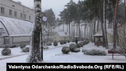 Клеванський госпіталь розташований у столітньому бору