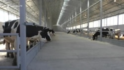 Մեկ տարվա ընթացքում մարգահովիտցի գործարարը 300 հազար դոլարի ներդրում է արել