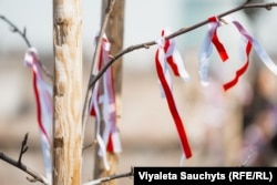 Дзень Волі ў Вільні. Беларусы каля Сейму Літвы на «Алеі беларускай дэмакратыі» павязалі бел-чырвона-белыя стужкі на дрэвы. 25 сакавіка 2026 году