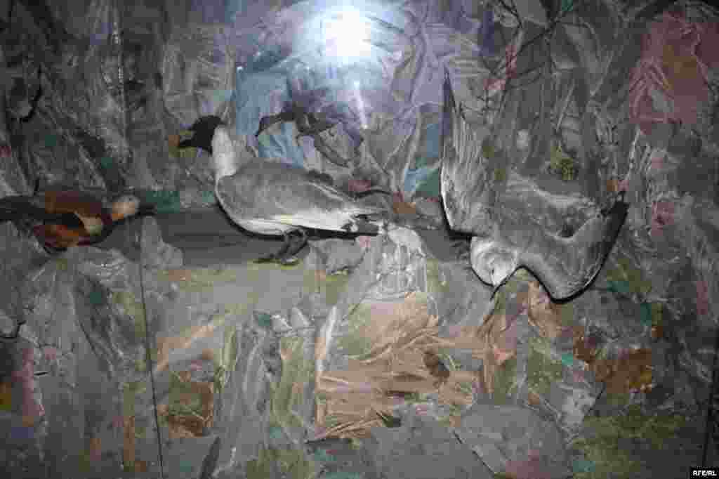 Сайре дар осорхонаҳои кишвар #105