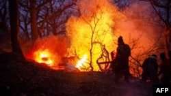 İranda meşə yanğınları