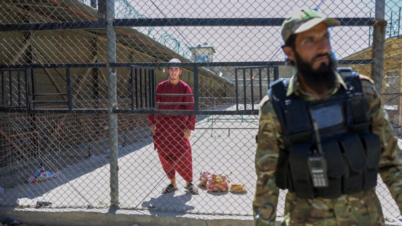 د طالبانو حکومت: د ۵ مېرمنو په ګډون ۱۶ بهرنیان راسره بندیان دي