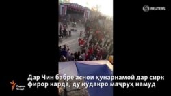 Бабр ду кӯдакро маҷруҳ кард