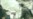 Video Shows Bin Laden, 9/11 Plotters