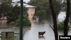 Pamje nga përmbytjet në Sidnej të Australisë.