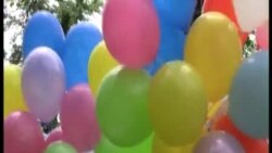 Beograd: Međunarodni dan borbe protiv homofobije