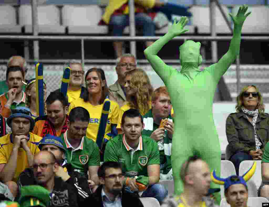 هوادار تیم ایرلند 