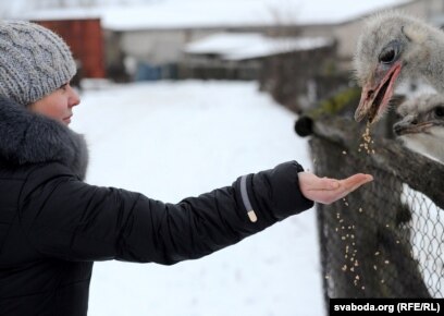 Аузында шампан бар минет Түрік қонақүйінде жыныстық қатынасқа түскен ресейлік туристердің жасырын камерасы