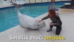 Kako preživjeti i vratiti Smješku osmijeh