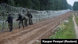 Polițiști de frontieră polonezi instalând un gard de sârmă la granița cu Belarus