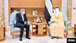 دیدار شیخ منصور بن زاید آل نهیان (راست) با محمد حسینی (چپ)