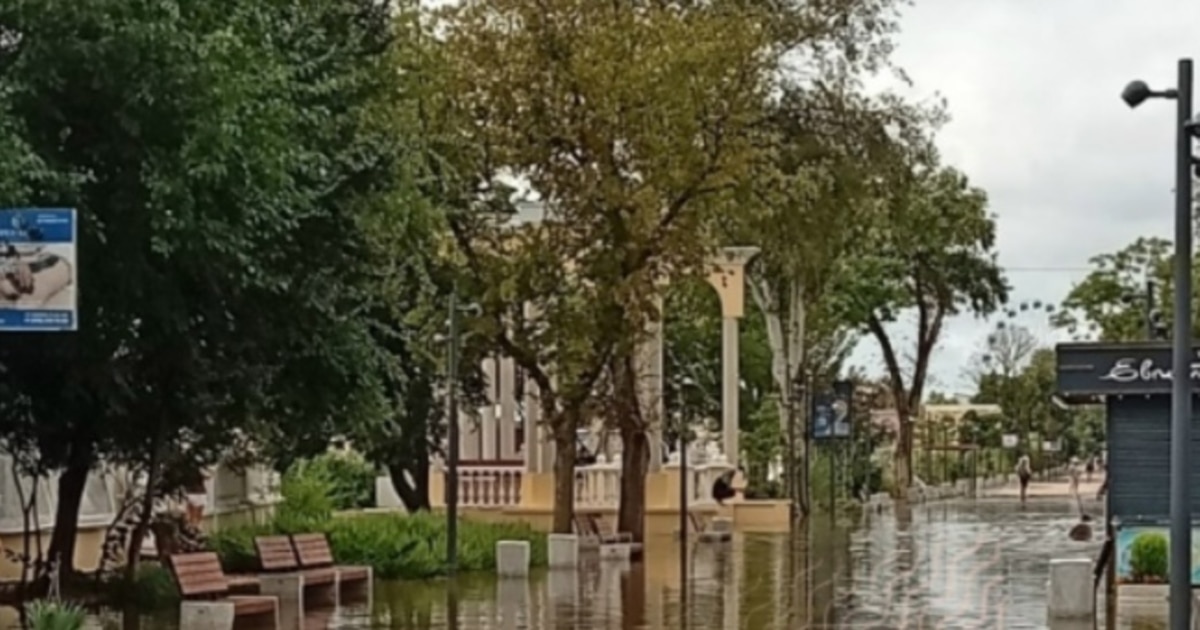 «У нас потоп – властям никакого дела»: как Евпатория становится «подводным городом» (фото и видео)