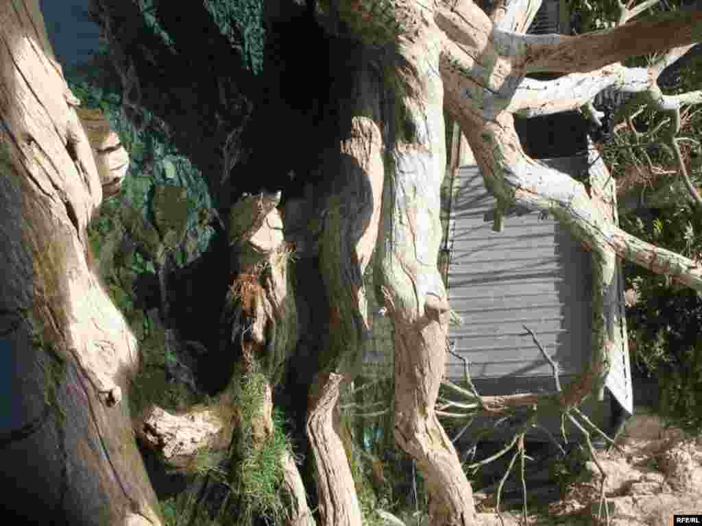 Зиёрати Чилучорчашма #33