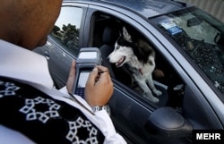 A police officer writes a ticket for a family with a dog in their car.