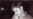 Matthew Shepard’s Parents Take LGBT Tolerance Message To Russia