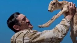 نشان شجاعت برای محیط‌بان کشته شده