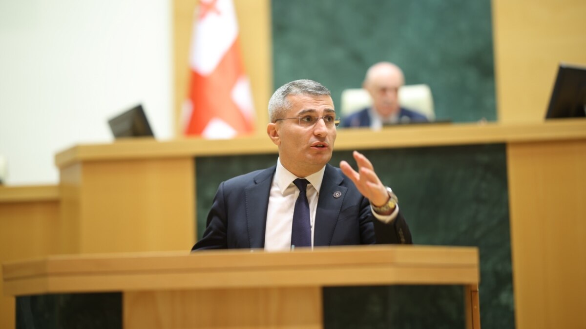 "მცირე ოდენობით ნარკოტიკის გაყიდვისთვისაც კი სასჯელი 12-იდან 20 წლამდე ან უვადო იქნება" - მდინარაძემ კანონპროექტი წარადგინა