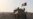 Dozens Of Afghan Police Officers Killed In Taliban Attacks
