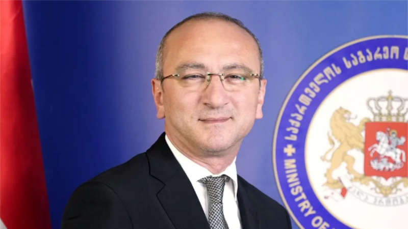 ჟენევაში გაეროს განყოფილებასთან საქართველოს მუდმივი წარმომადგენელი ვენესუელის წარმომადგენელს შეხვდა