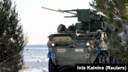 Бойова броньована машина Stryker під час військових навчань в Естонії, березень 2022 року