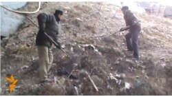 БакI бацIадалъуб ракIги бацIадаб